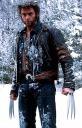 wolverine31.jpg