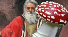 alt text