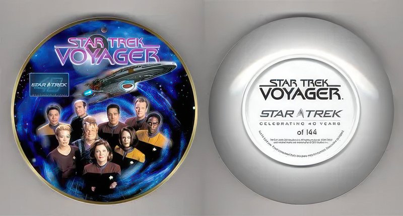 Star Trek: Voyager plate