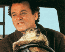 big_bill_in_groundhog731047.gif