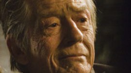 “Merlin” Gets Hurt