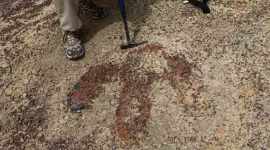 Tyrannosaur Footprint Found in Montana (USA)