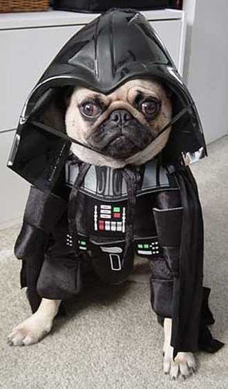 BullDog Vader
