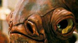 Ole Miss Students Want Admiral Ackbar As Mascot