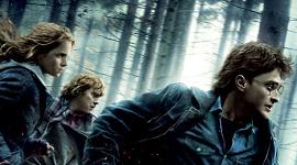 “Harry Potter and the Deathly Hallows, Part One”: A Hollywood Reporter Review