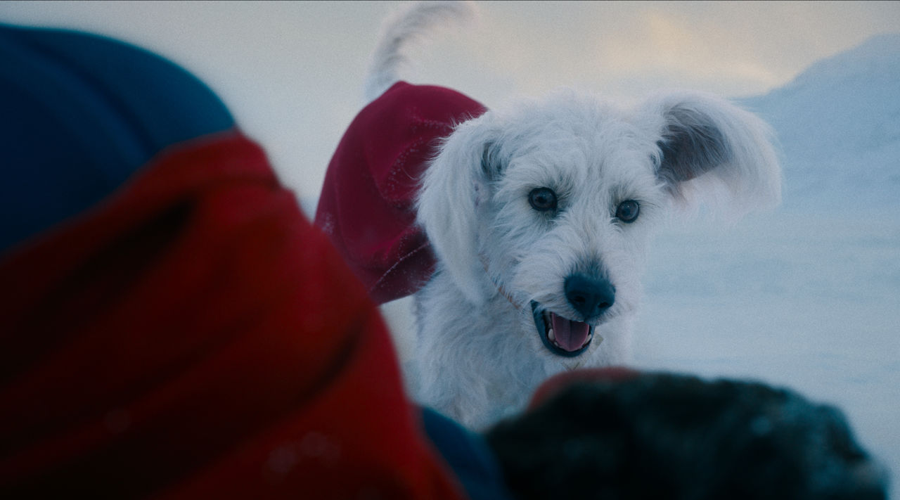 Superman (2025)